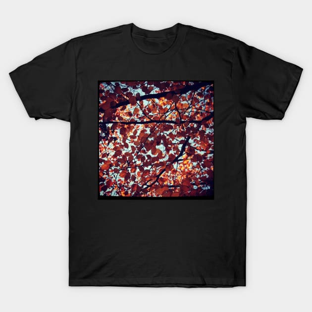 Autumn Leaves T-Shirt by Jonesyinc